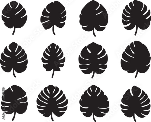 Monstera Leaf Silhouette Set, Tropical Jungle Leaves Collection, Minimal Black Botanical Icons Isolated on Light Background, Modern Nature Design Elements for Logo