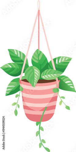 Green Houseplant in Pink Striped Hanging Pot with Vines Isolated  Illustration