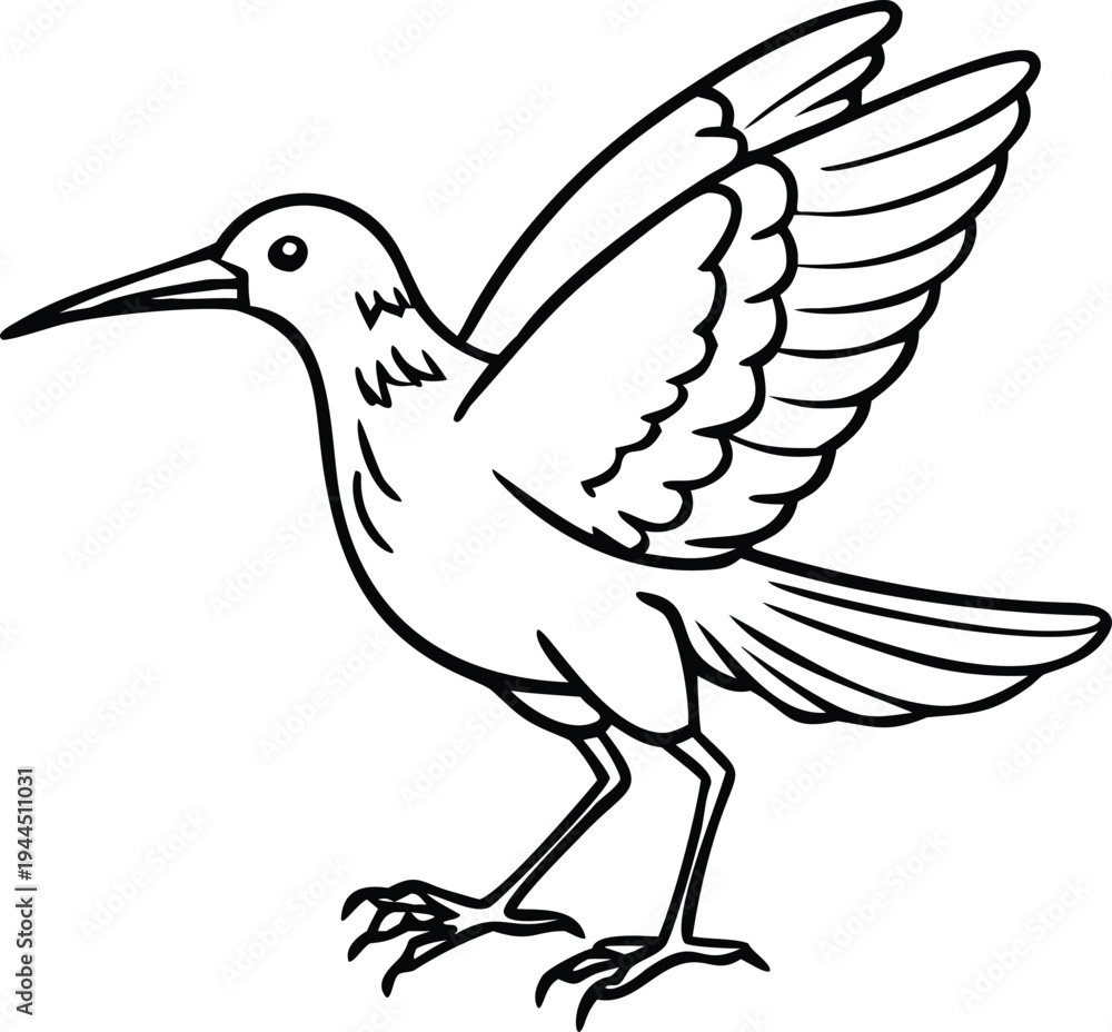 Fototapeta premium Line Drawing Hummingbird Hovering with Wings Outspread Isolated on White Background