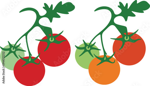 Fresh tomato vine illustration, red green orange ripe fruits, organic garden vegetable harvest concept, flat minimal vector design collection set