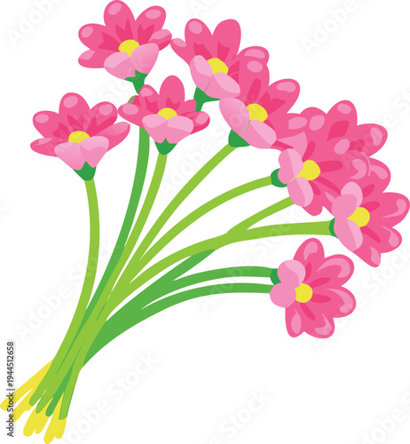 Pink Daisy Flowers Bouquet Tied with Green Stems and Yellow Centers Isolated on White