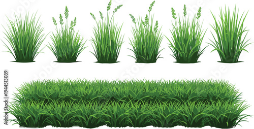 Green grass bushes collection illustration, natural garden plants and lawn patches set, fresh meadow vegetation elements, landscaping greenery vector design