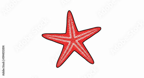 A single red starfish with white speckled details on its five arms