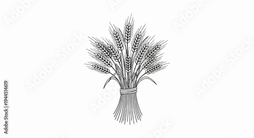 Sketch of a wheat sheaf bound by a ribbon