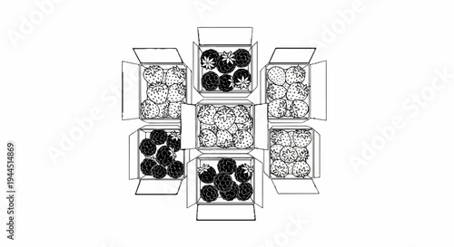 Arrangement of open boxes filled with strawberries and blackberries