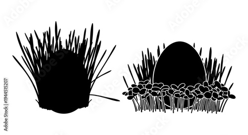 Illustrations of a porcupine and a hedgehog with their natural habitat elements Vector, illustration