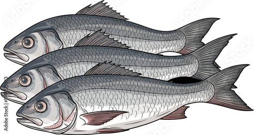 Three stylized grey fish swim in a diagonal line against a white background