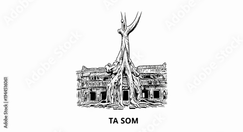 Ancient stone temple overgrown with massive tree roots, sketch