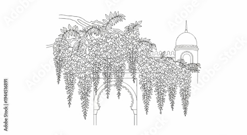 Line art drawing of blooming wisteria cascading over arched gateway and domed structure