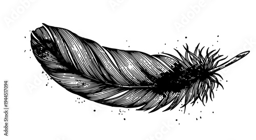 Feather with detailed lines and splatter effect in black ink on white background featuring illustration, drawing,