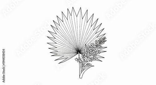 Detailed line drawing of a palm frond with clusters of small flowers