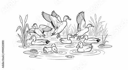 Multiple ducks in a pond with reeds and water lilies