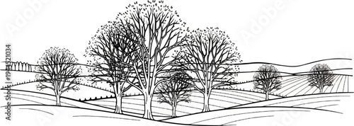 Stylized black and white illustration of trees and rolling fields