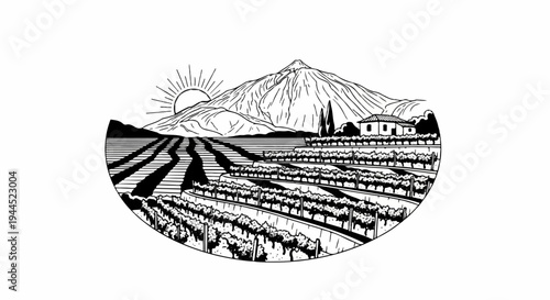 Sun rises over a terraced vineyard with a mountain and a house