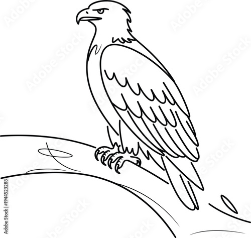 Black line of eagle perched on branch bird line animal wildlife