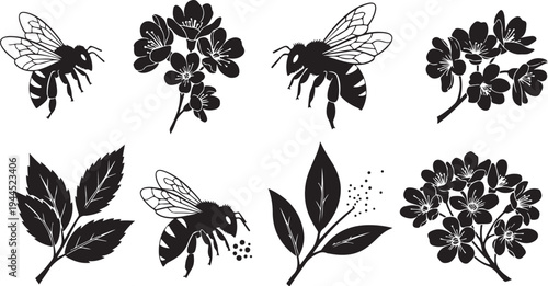Black and white bee illustrations with flowers and leaves