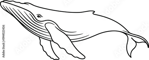 Black line of a whale swimming left line animal mammal ocean