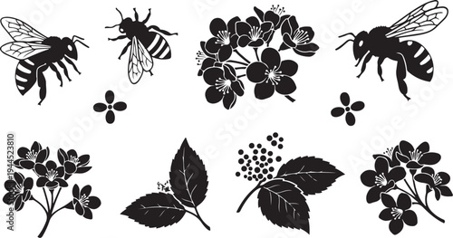 Black and white illustration of bees and various flowers