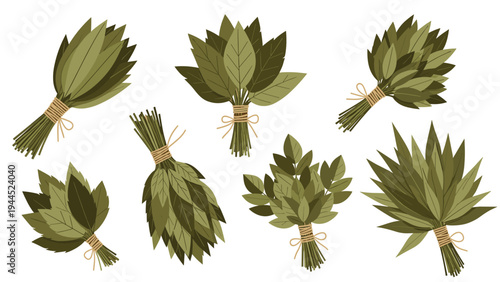 Collection of several bundles of fresh green leaves tied with twine strings for sauna spa or culinary use on white background.