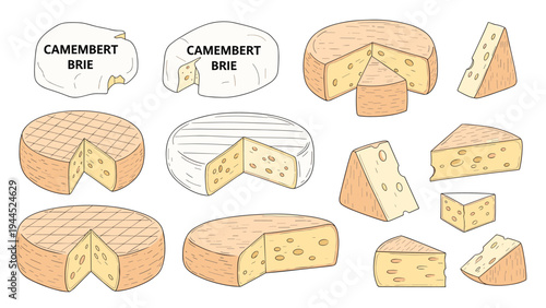 Large collection of diverse cheese wheels and wedges including labeled camembert and brie varieties shown in detailed sketch format.