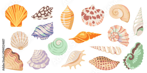 Seashell collection set colorful marine shells ocean beach vector illustration