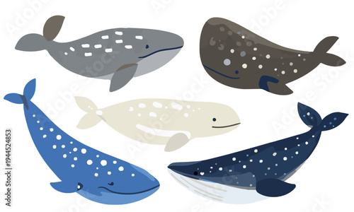 Cute whale cartoon set marine mammals ocean animals vector illustration collection