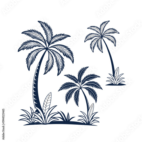 tropical palm tree