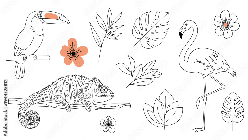 Fototapeta premium Tropical themed collection of line drawings includes a toucan, flamingo, chameleon, exotic leaves, and pretty flowers for coloring or design.