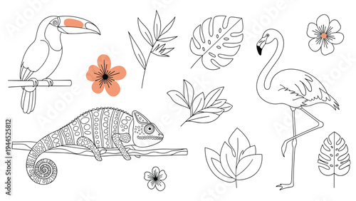 Tropical themed collection of line drawings includes a toucan, flamingo, chameleon, exotic leaves, and pretty flowers for coloring or design.