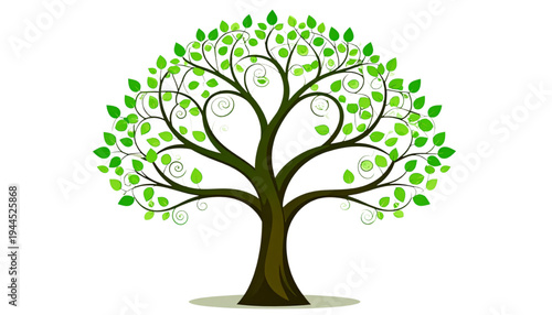 A vibrant green tree with a thick trunk and a full canopy of leaves isolated on transparent background