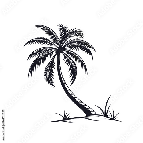 Tropical Coconut Palm Tree Silhouette Vector Isolated on White