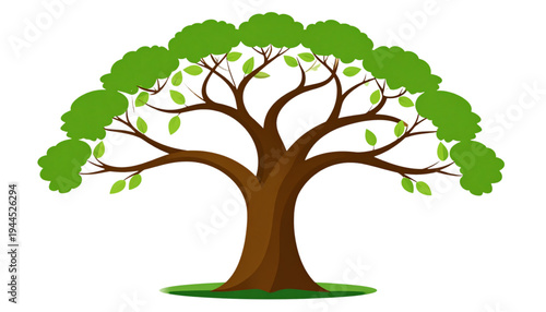 A large, lush green tree with a thick trunk and wide-spreading branches stands majestically. isolated on transparent background