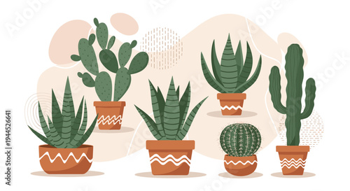 Collection of various potted cacti and succulents in terracotta pots with geometric patterns on an abstract background.