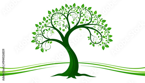 A large, mature tree with a thick trunk and a full, lush canopy of green leaves. isolated on transparent background