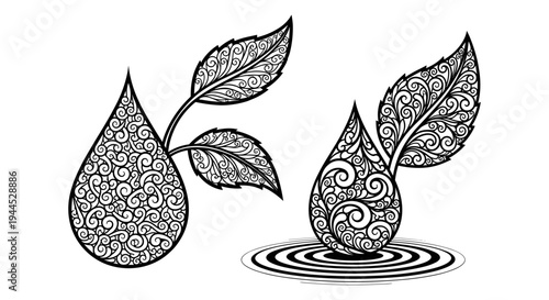 Intricate geometric design of teardrops with leaf motifs emerging from water surface Vector, illustration