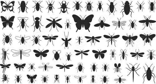 Flat vector silhouettes of insects including butterflies, beetles, moths, fliesFlat vector silhouettes of insects including butterflies, beetles, moths, flies