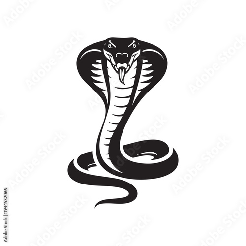 Fierce Black Cobra Snake with Hood Spread.