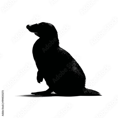 Silhouette of a seal sitting upright on a white background, looking to the left.