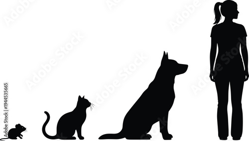 Silhouette mouse cat dog human progression comparison, animal size scale illustration design, domestic pet education concept art