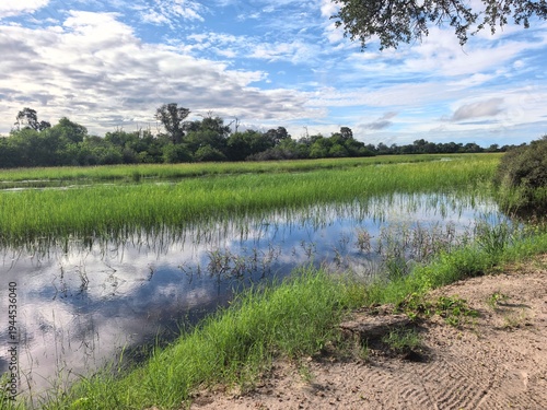 Khwai river in the Okavango Delta of Botswana