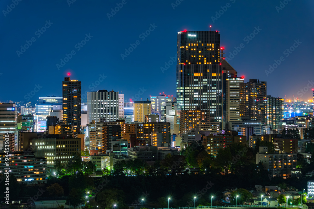 Fototapeta premium 宮城県仙台市 仙台城跡（青葉城址）から見下ろす広瀬川と杜の都・仙台の夜景