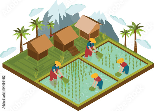 Isometric rice farming village, farmers planting rice in paddy fields rural agriculture landscape illustration concept