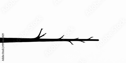 Vector illustration of a black barbed wire silhouette with branches, twigs, and birds isolated on a white background to represent a winter nature scene