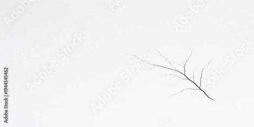 Minimalist winter nature design featuring white tree branches covered in snow with a dry wood texture and forest silhouette illustration