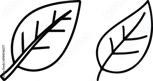 A simple line drawing of two leaves side by side on a white background