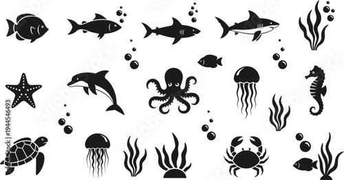 Black silhouettes of various sea creatures and plants on white background