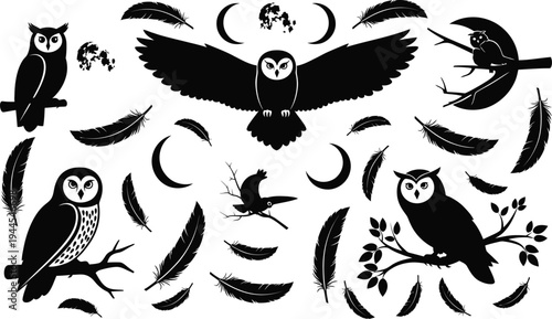 black silhouette illustrations of owls and feathers with crescent moons on white background