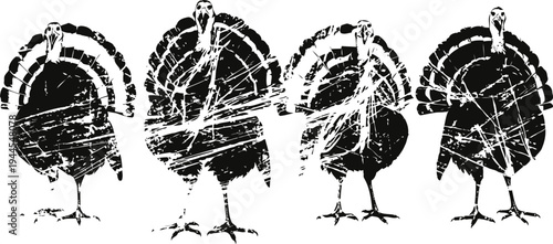 Grunge turkey silhouettes in various poses with textured vintage effect