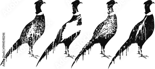Silhouettes of four standing pheasants in black ink with textured brush strokes