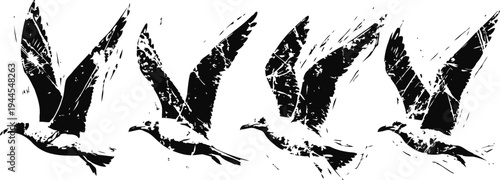 flying bird silhouettes in vintage grunge retro design of four birds in different wing poses